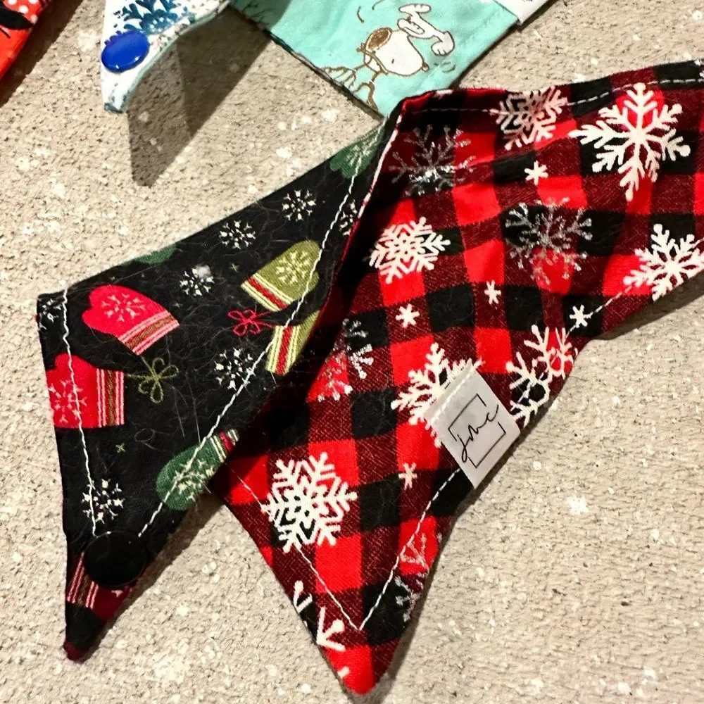 Cat bandana (2) and sweater